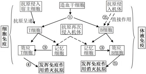 一、 跨境价格偏好的形成基础与核心驱动因素