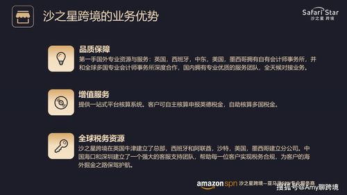 Fnac公司简介及其跨境业务概述