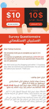 Dresslily平台简介与跨境业务概述