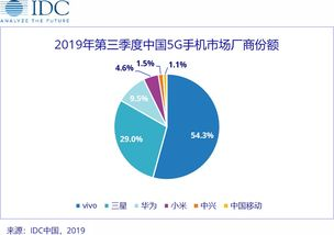 Vivo跨境定价的核心驱动因素与战略框架