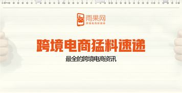 了解Lazada品牌商城：定义与核心价值