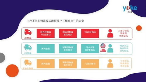 Lazada平台运营核心策略与本地化实践
