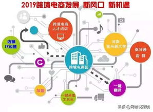 一、 跨境店群模式下的知识产权风险剖析