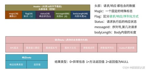 RPA与跨境店群的基本概述