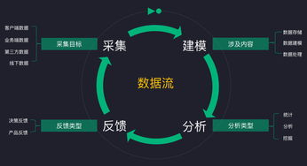 构建跨境店铺数据采集与分析的基础框架