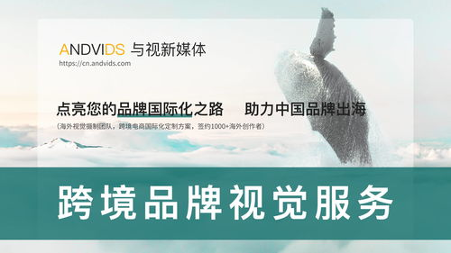 什么是跨境视频主图及其重要性