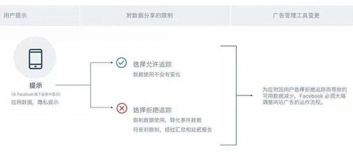 全球用户审美差异与跨境滤镜选择策略