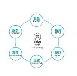 跨境网红合作图片的核心价值与战略意义