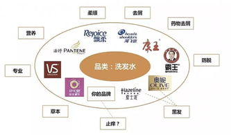 跨境产品差异化的定义与重要性