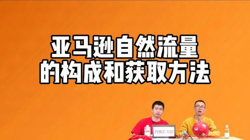 跨境流量获取的基础概念与重要性