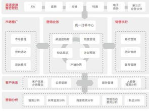 构建成功的跨境网红营销策略基础框架