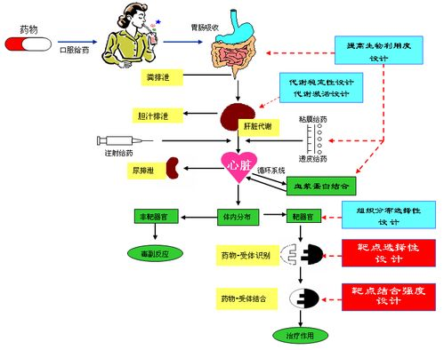 构建坚实的全渠道战略基础与技术架构