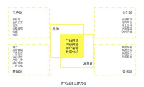 模式抉择：自建、第三方还是平台仓？