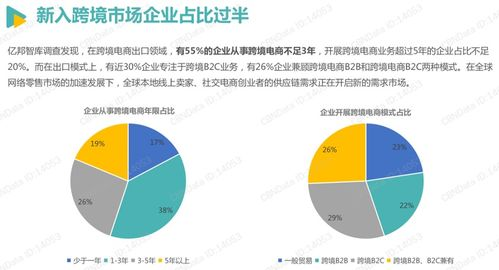 一、 跨境品牌建设的核心：精准定位与价值体系构建