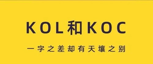 跨境KOL与KOC的定义与重要性