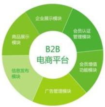 一、 构建稳固技术基石：选择与优化跨境虚拟活动平台