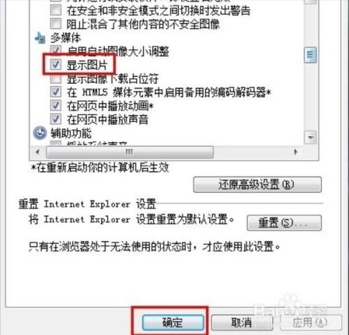 验证码不显示或加载失败的原因与解决