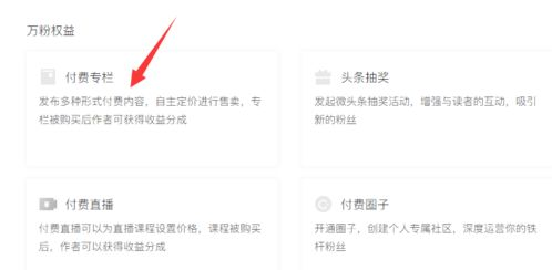 Whatnot赚钱,赚钱yy