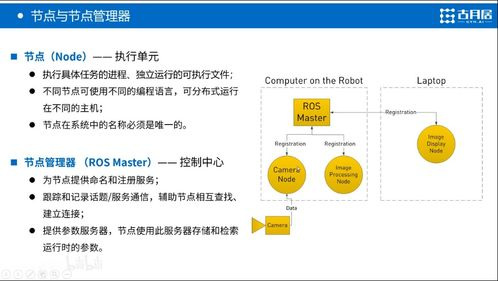 什么是Whatnot平台及其核心概念？
