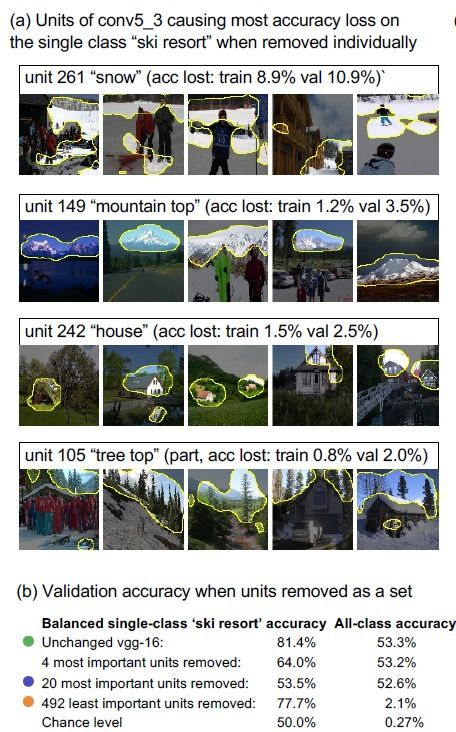 Understanding the Role of a Whatnot Seller