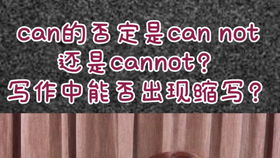 什么是Whatnot及其粉丝社区