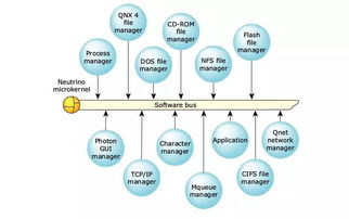 Whatnot打包拍卖的核心机制与操作流程
