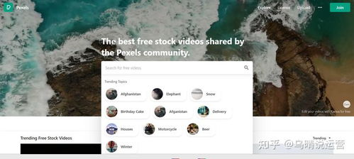 全球主流平台：海外短视频素材的富矿