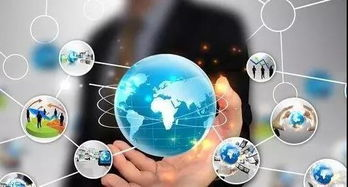 VTN模式：重构跨境电商价值链的S2B2C创新