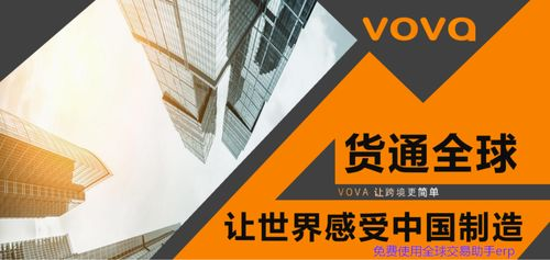 VOVA跨境电商平台概述与定位
