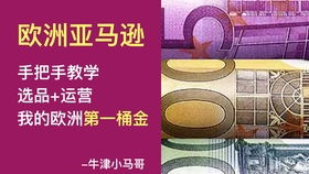 Vova 跨境电商平台的业务模式