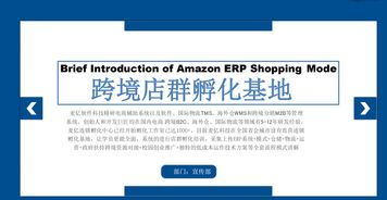 一、 理解亚马逊日本站铺货：模式、优势与适用场景