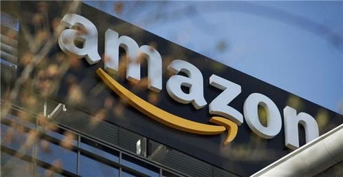 亚马逊德国配送的基本时效解析