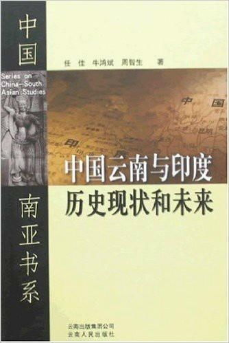 亚马逊在印度的历史与现状
