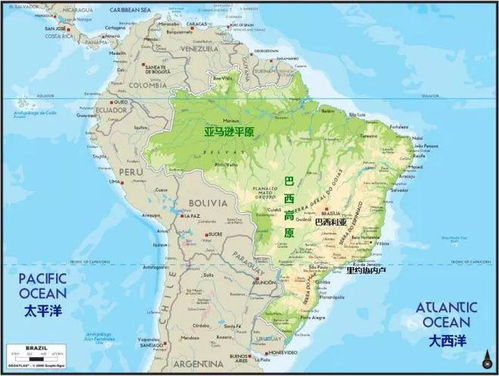 亚马逊巴西站点的背景与重要性