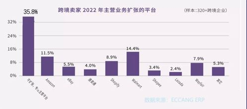 巴西电商市场现状与机遇分析