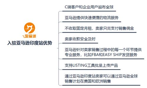 亚马逊巴西站的基本入驻条件