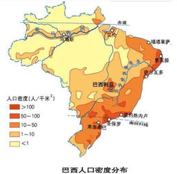 亚马逊巴西站点的市场潜力与核心优势