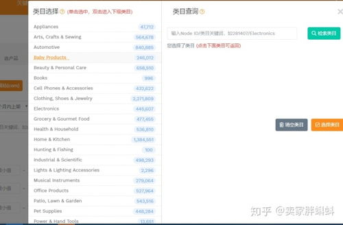 荷兰亚马逊账户注册与商品选购技巧
