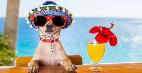 电子产品在墨西哥亚马逊的热销表现