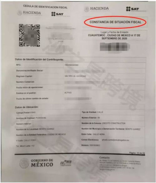 墨西哥RFC税号的强制性要求解析