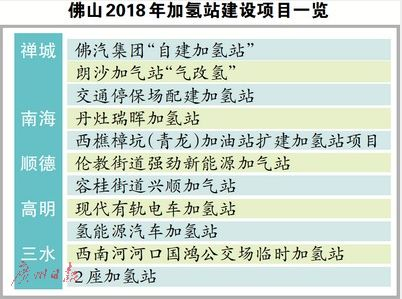 一、 根基搭建：账号合规与站点选择策略