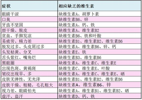 一、欧洲核心站点综合对比与选择策略