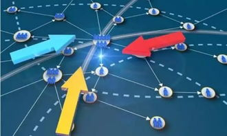 Temu日本用户规模的发展阶段与关键数据