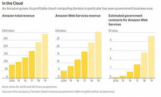 亚马逊：全球巨头的本土化深耕与全方位布局