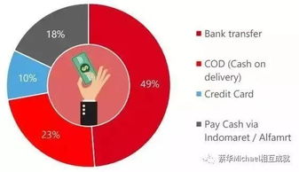 印度电商市场整体概述