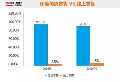 印度电商市场的领导者