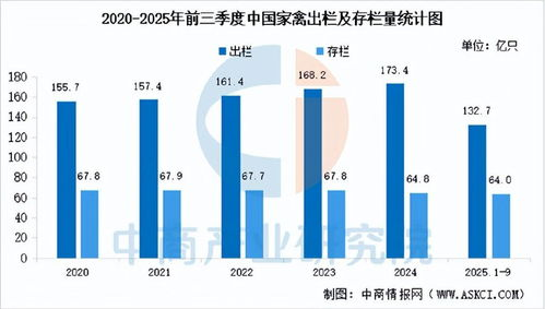 综合型巨头：主导市场的核心力量