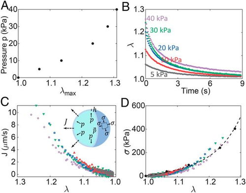 北美时区的复杂性与多样性特征