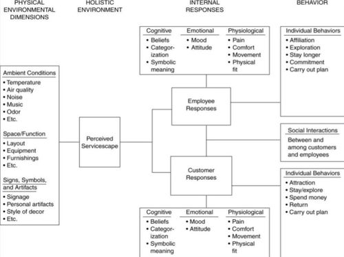 eMAG的起源与发展历程