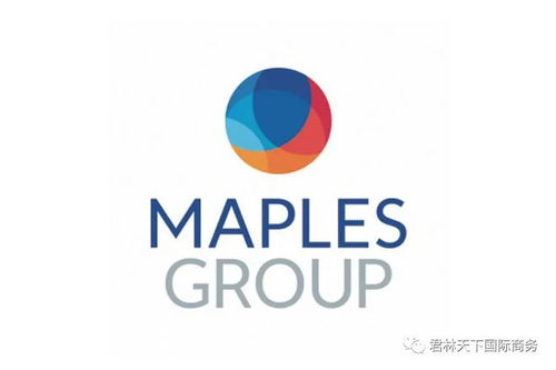 开曼注册公司的核心优势解析